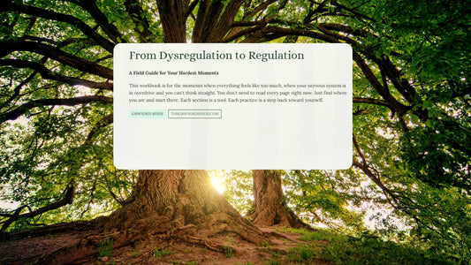 From Dysregulation to Regulation — Nervous System Field Guide